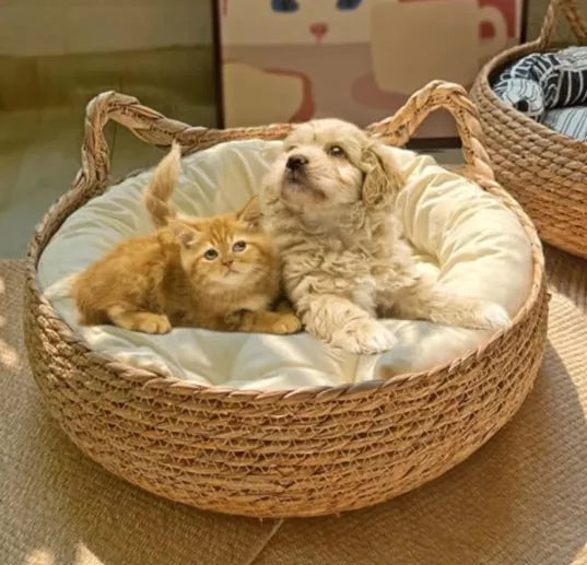 Rattan Woven Beds for Indoor Cats and Small Dogs