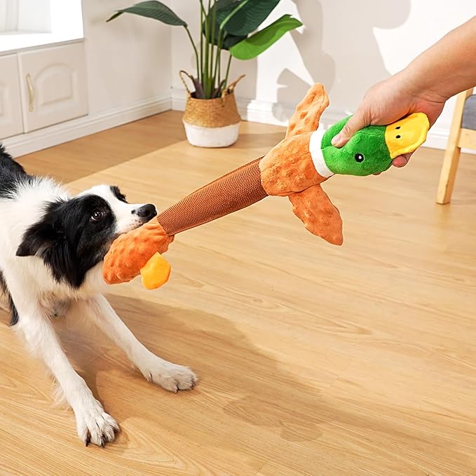 Tug of War Duck Plushie