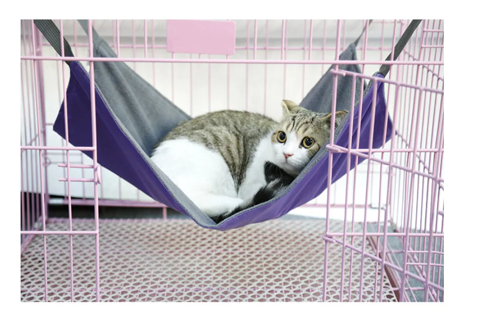Cat Hammock