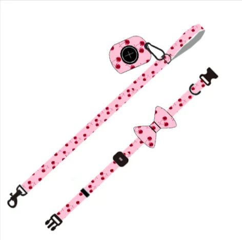 Chic Pink Dog Leash Set