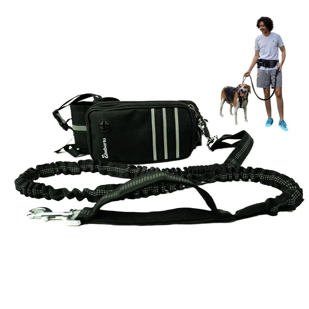 Hands-Free Dog Leash Belt