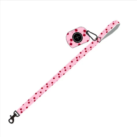 Chic Pink Dog Leash Set