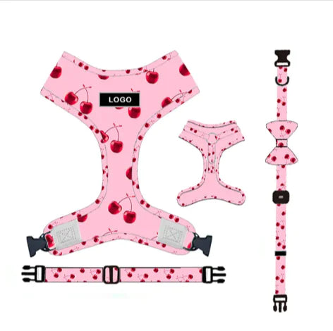 Chic Pink Dog Leash Set