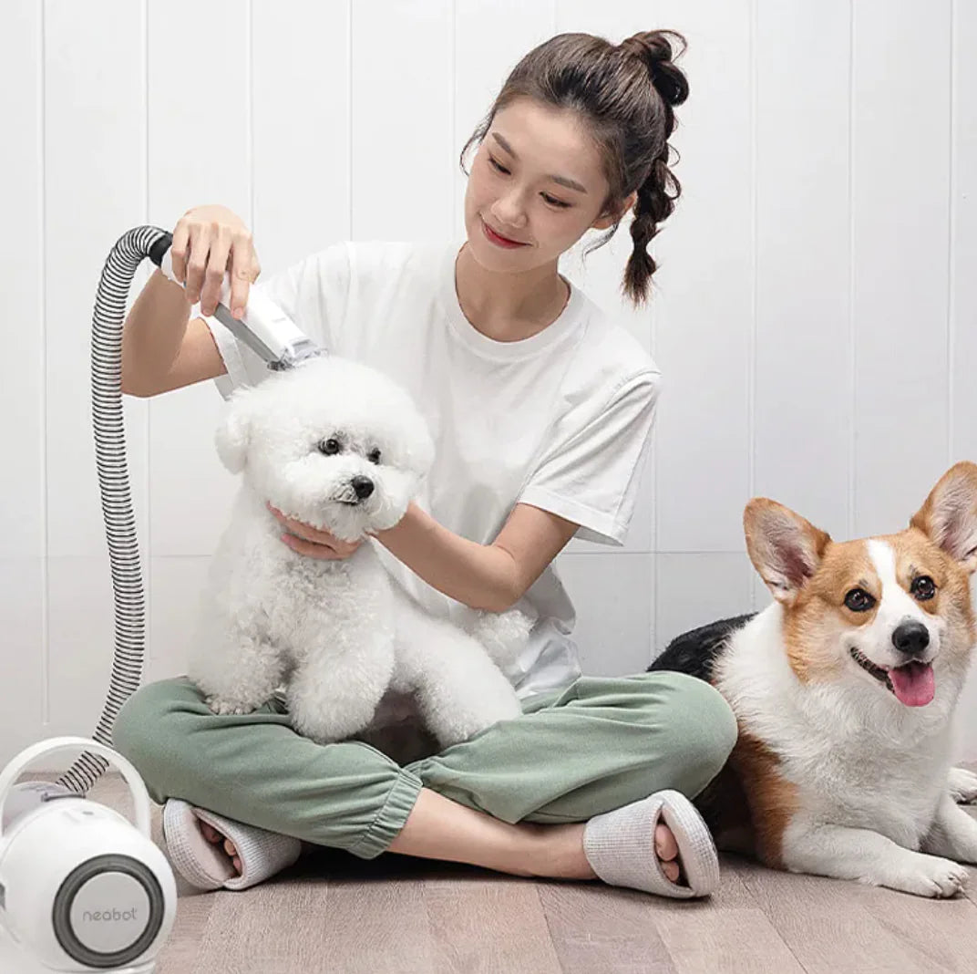 2-in-1 Pet Grooming Comb & Shaver