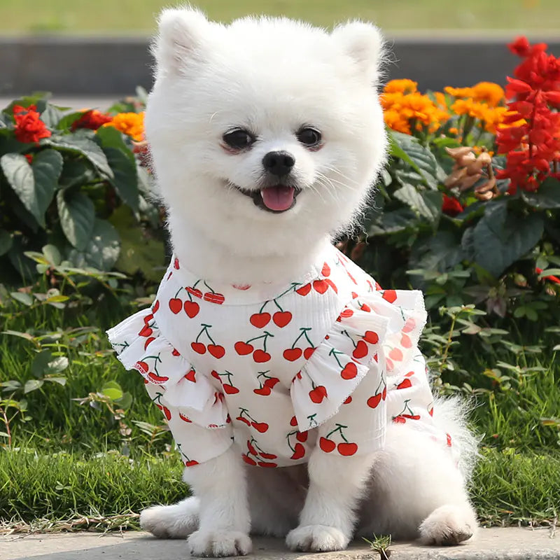 Sweet Cherry Print Blouse Shirt