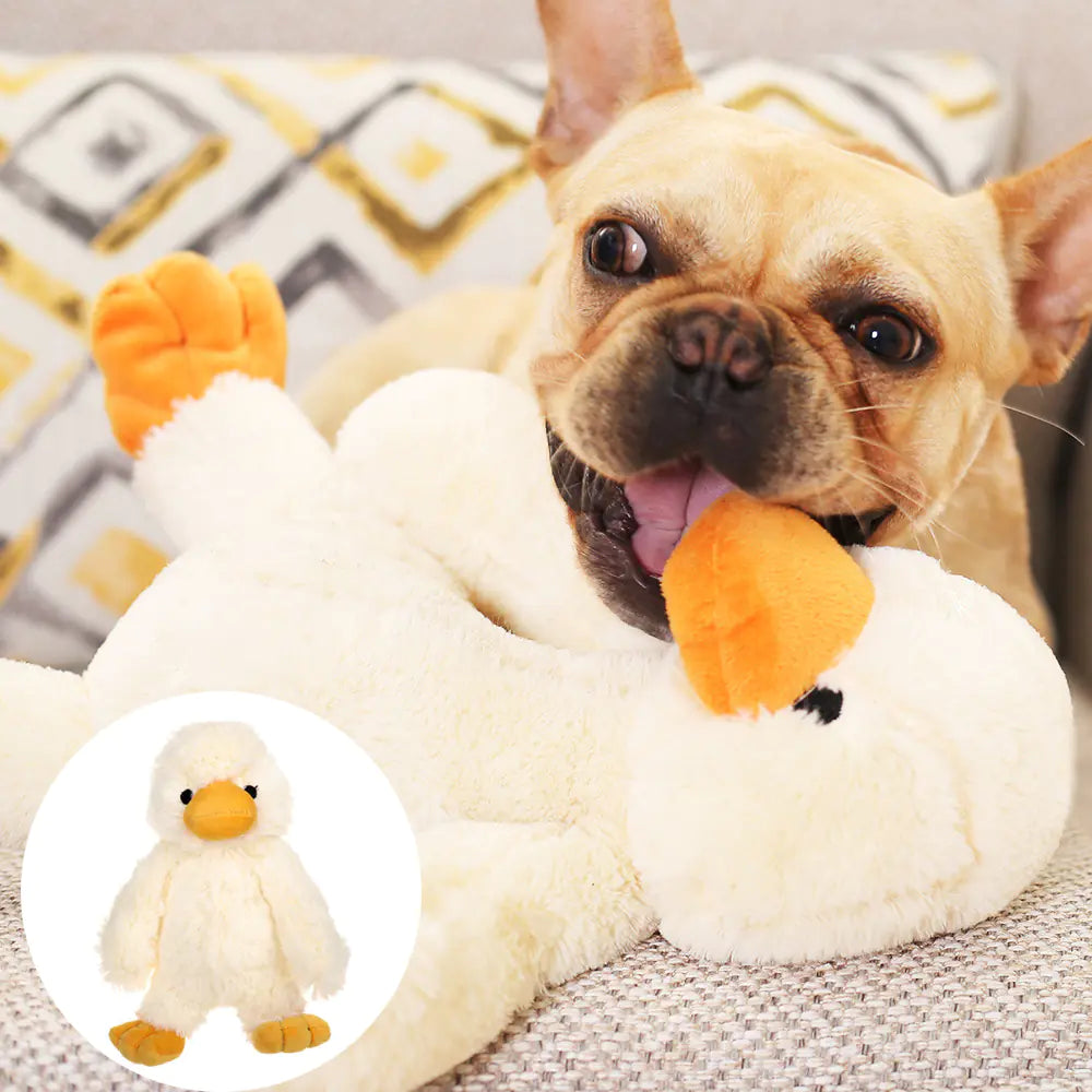 Duck Plushie