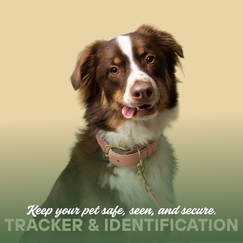 Tracker & Identification
