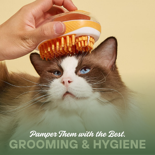 Grooming & Hygiene