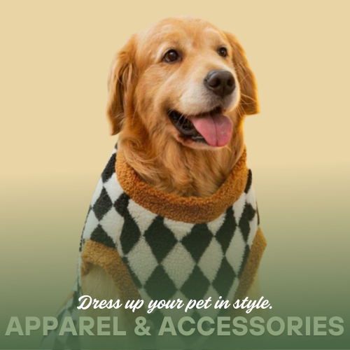 Apparel & Accessories