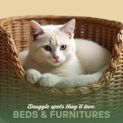 Beds & Furniture