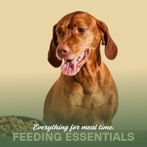 Feeding Essentials