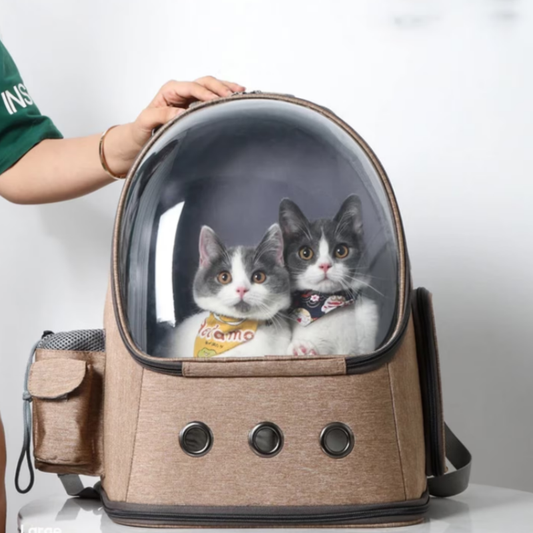 Bubble Backpack Portable Pet Travel Carrier