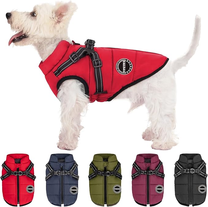 Padded Ski Reflective Vest