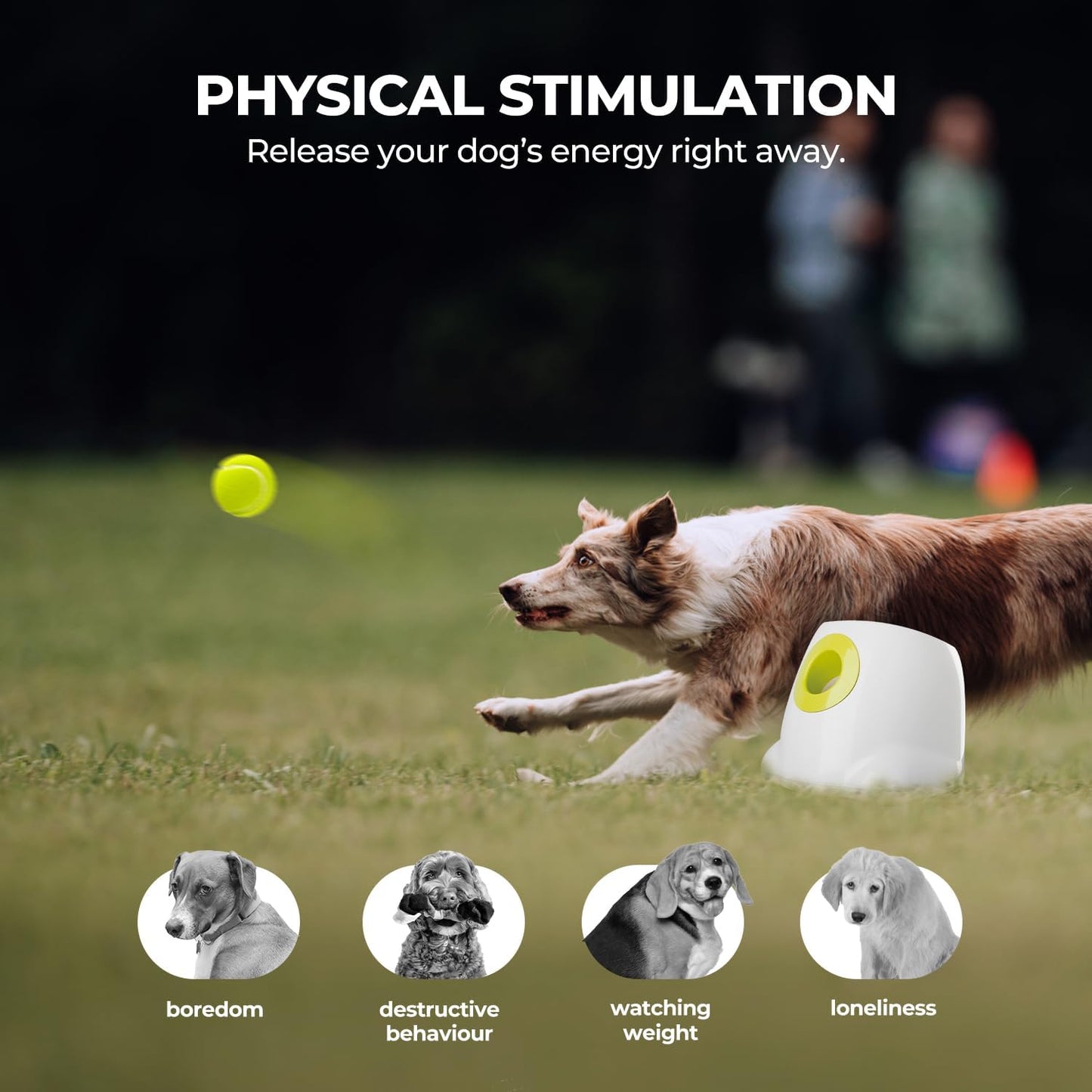 Automatic Ball Launcher