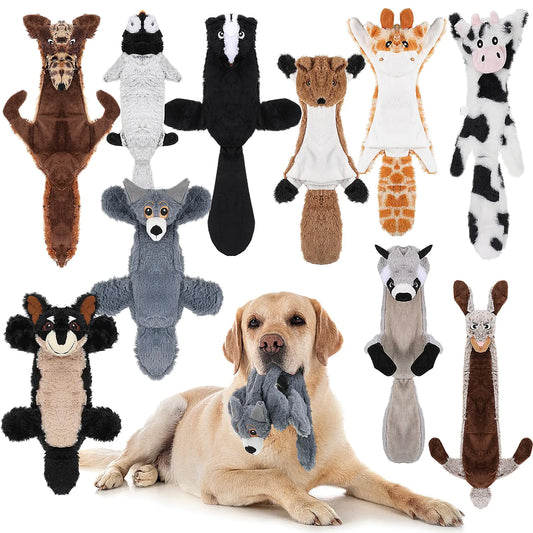 Squeaky Toys For Dogs (No Stuffing)
