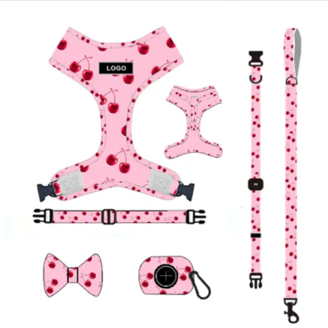 Chic Pink Dog Leash Set