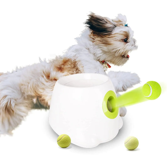 AutoFetch Dog Ball Launcher