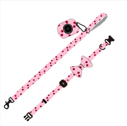 Chic Pink Dog Leash Set
