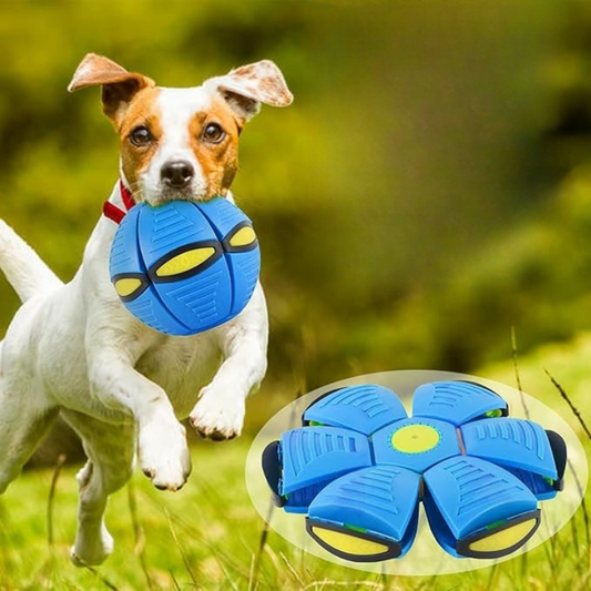 Flying Saucer Ball – Pop-Up Disc Toy