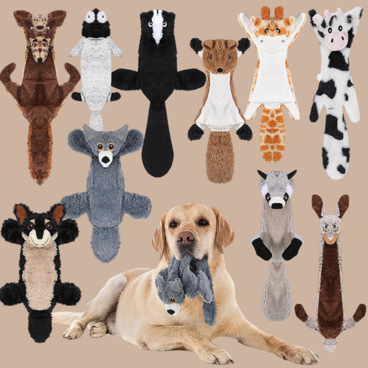 Wild Whimsy Chew Crew Set