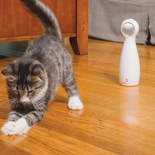 Automatic Laser Toy
