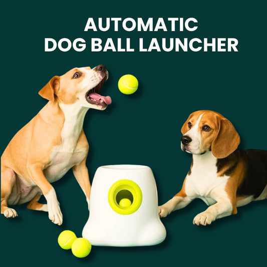 Automatic Ball Launcher
