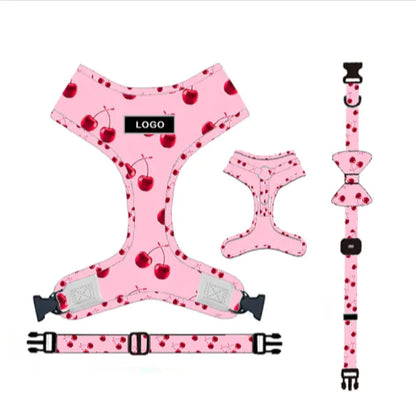 Chic Pink Dog Leash Set