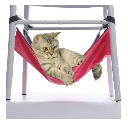 Cat Hammock
