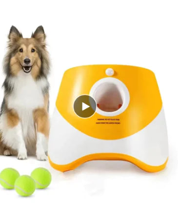 Dogs Automatic Throwing Machine