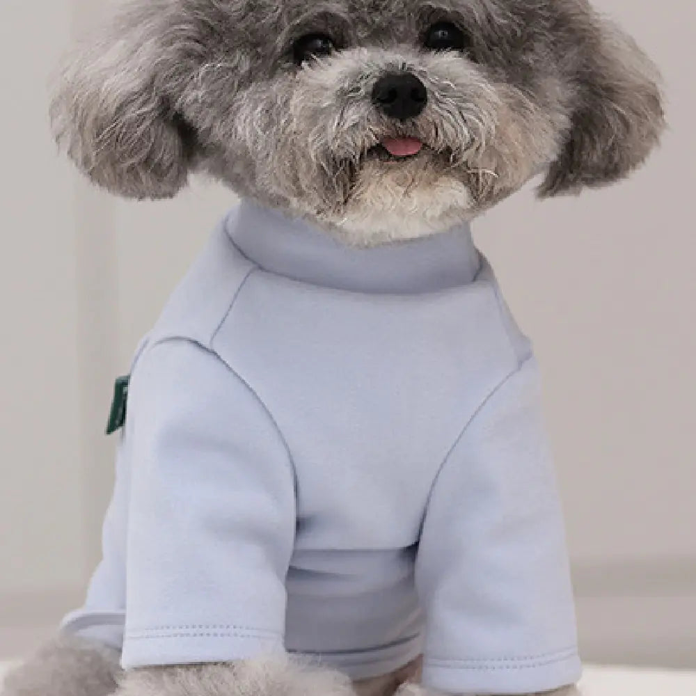 Cozy Couture Hoodie