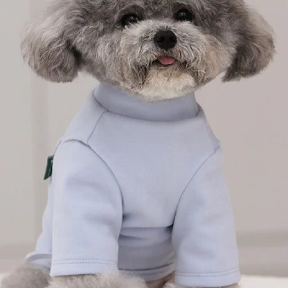 Cozy Couture Hoodie