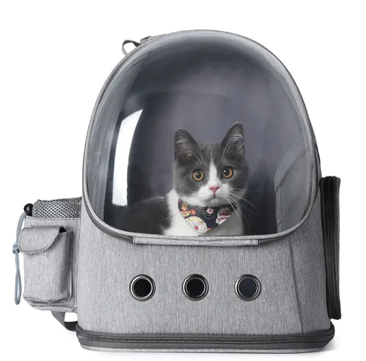Portable Cat & Dog Carrier